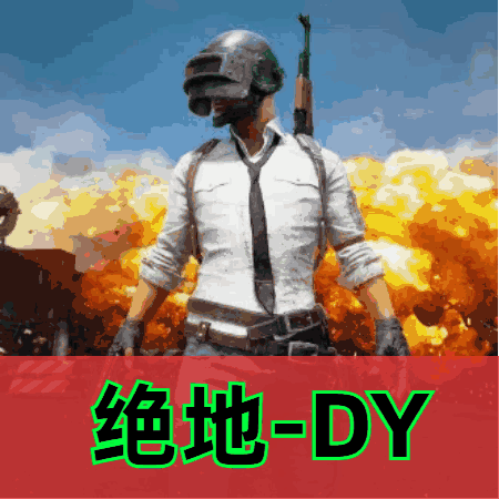 绝地求生DY辅助