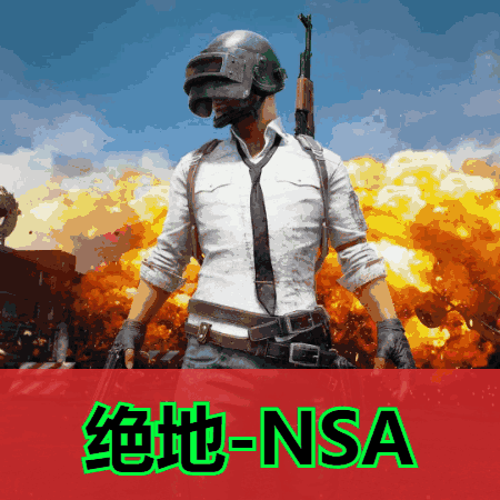 绝地求生辅助NSA