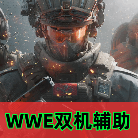三角洲WWE双机辅助